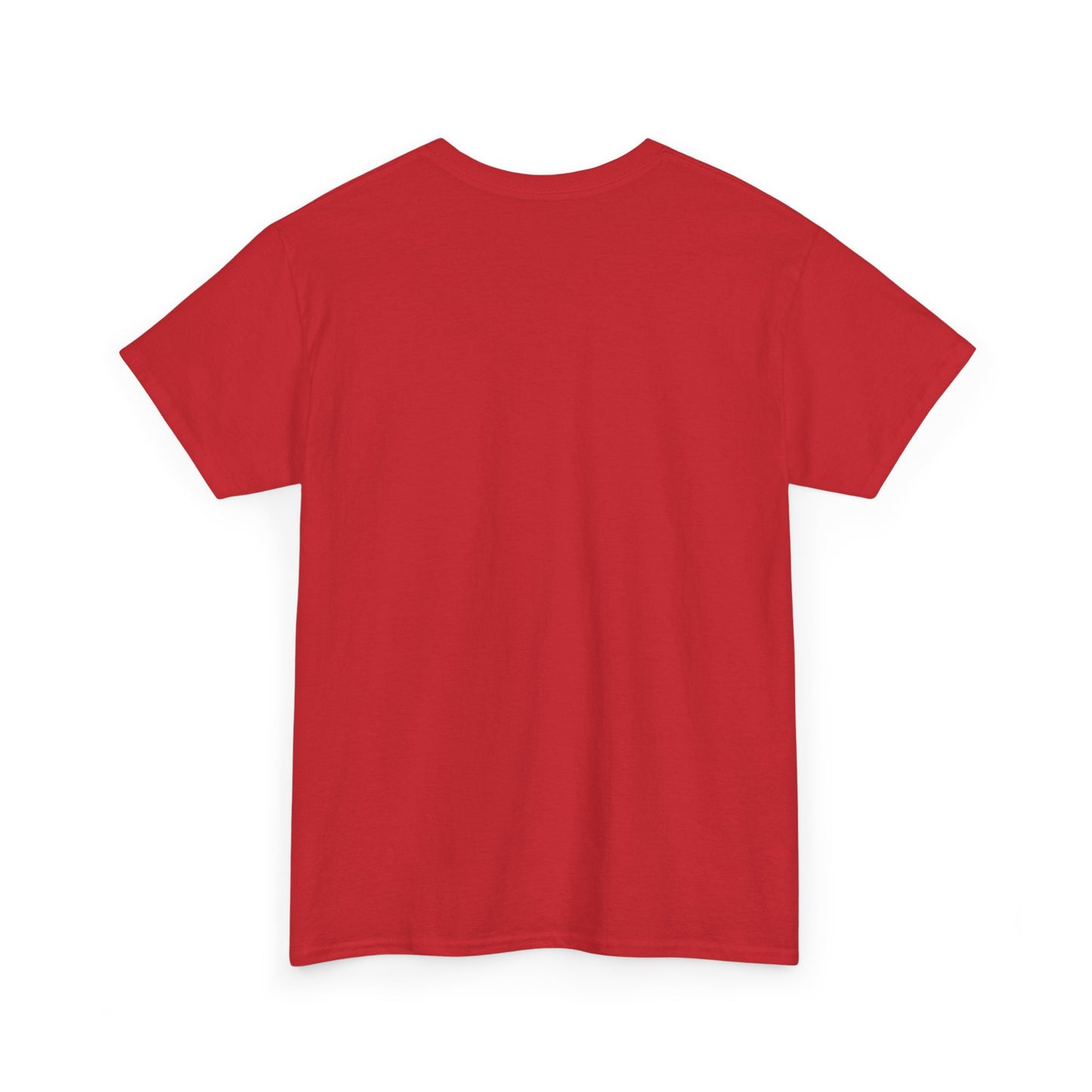 United We Stand T-Shirt, Patriotic Tee, America Pride Shirt, Political Activist Clothing, Unity