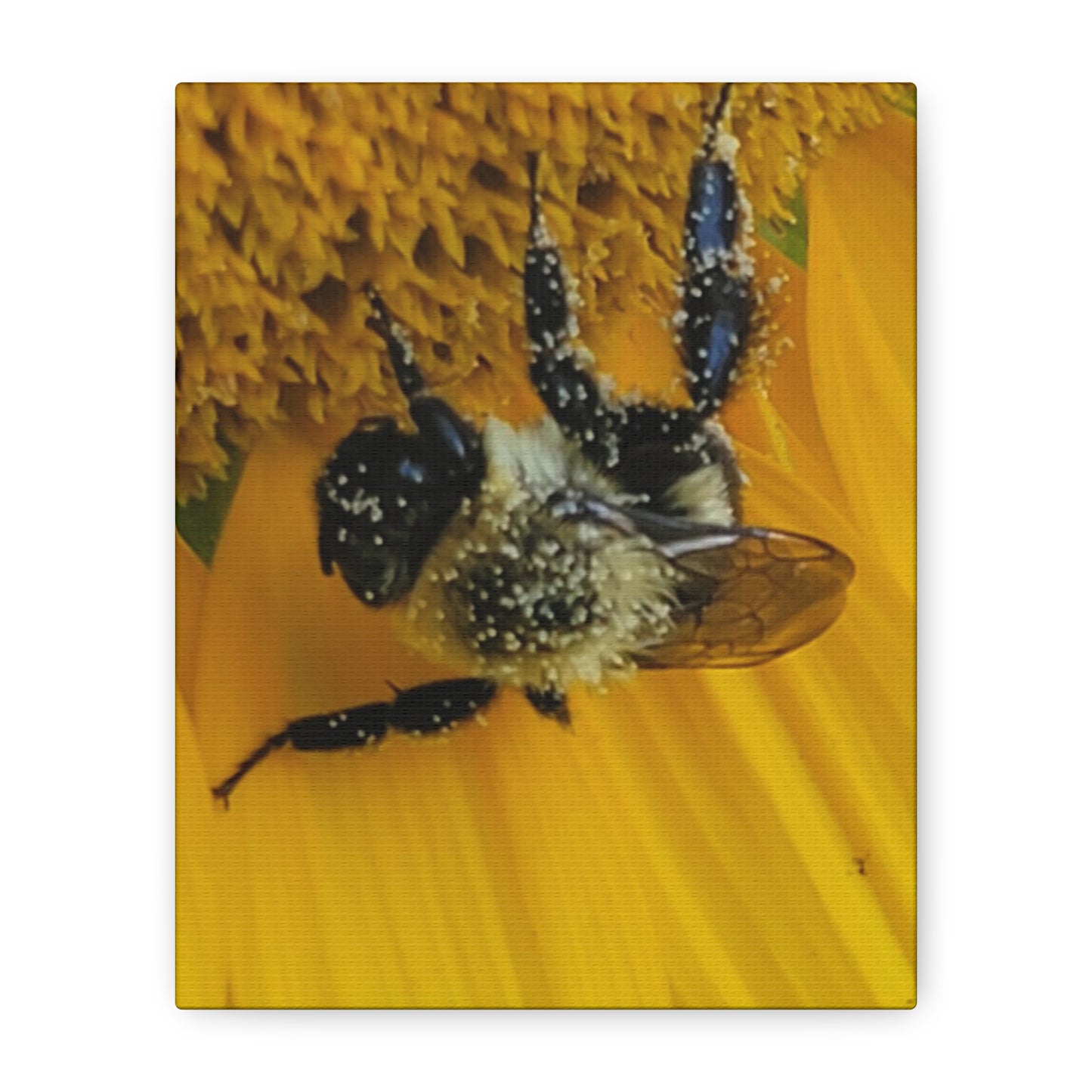 Happy Little Bee, Matte Canvas, Stretched, 1.25"