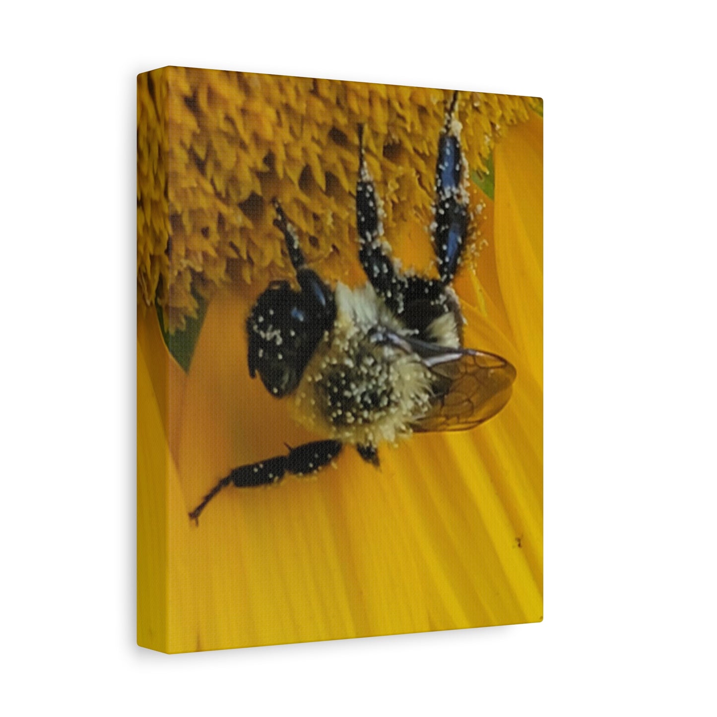 Happy Little Bee, Matte Canvas, Stretched, 1.25"