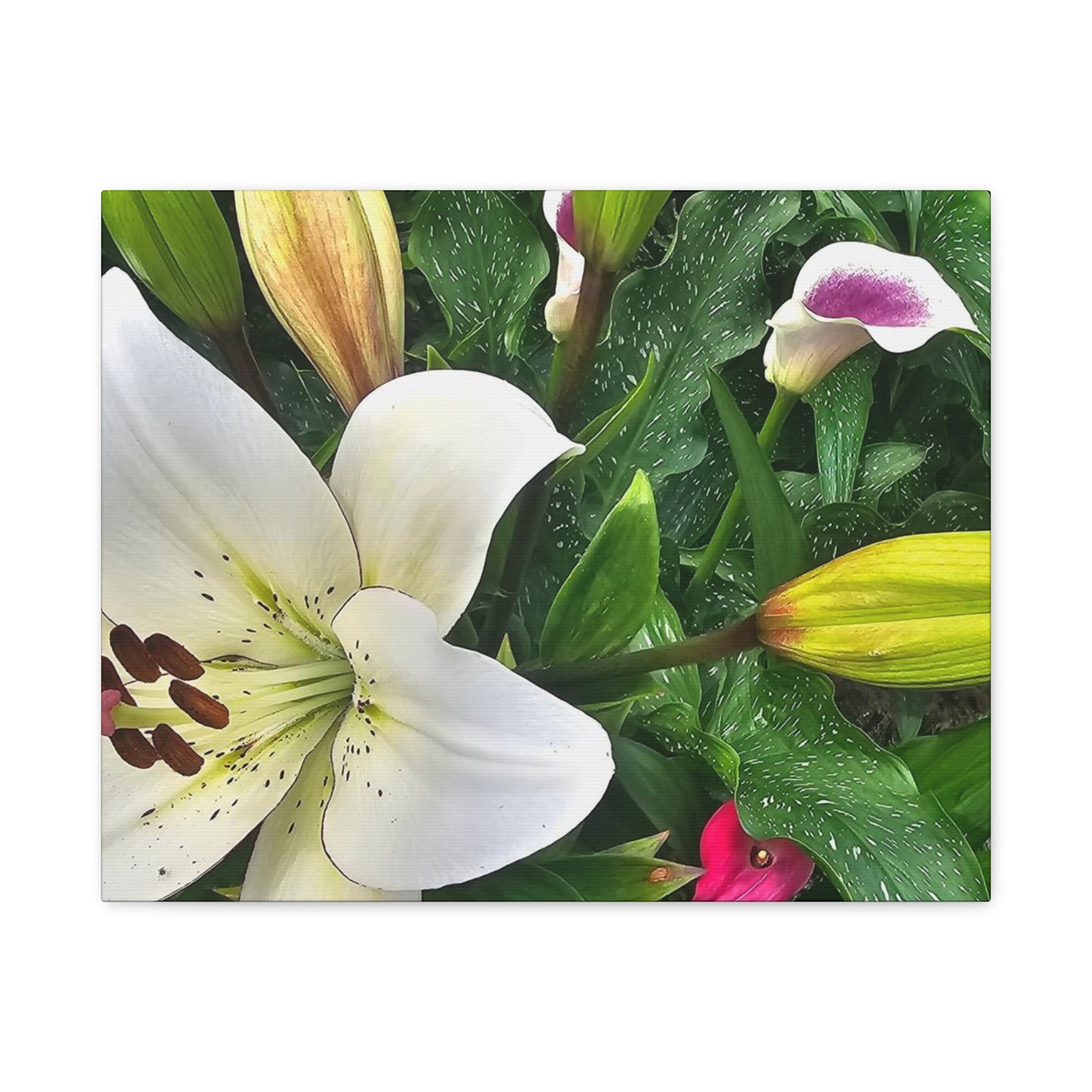 Lily Explosion, Matte Canvas, Stretched, 1.25"