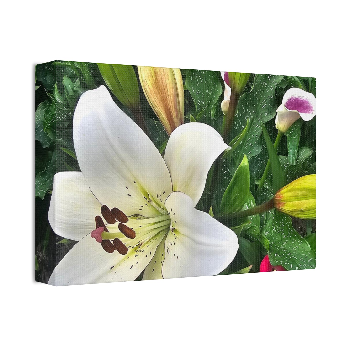 Lily Explosion, Canvas Stretched, 1.5''