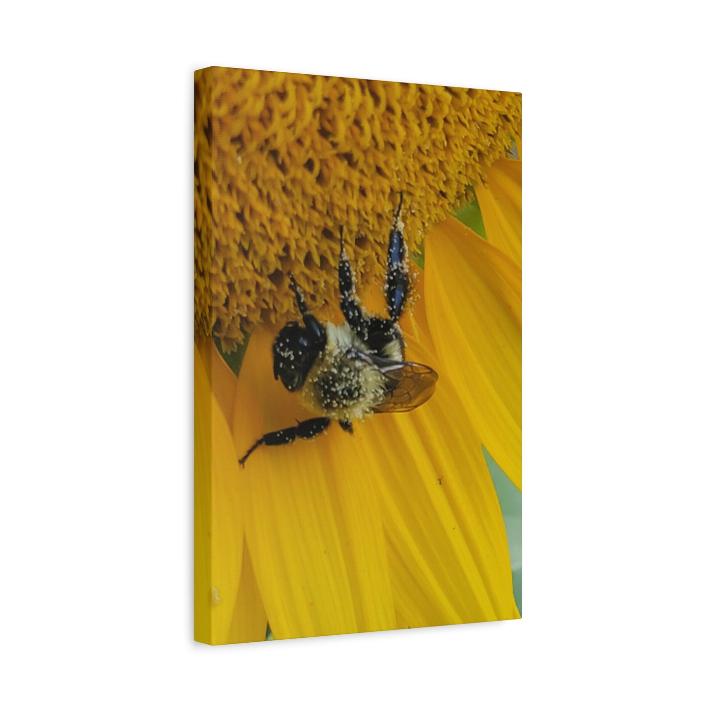 Happy Little Bee, Matte Canvas, Stretched, 1.25"
