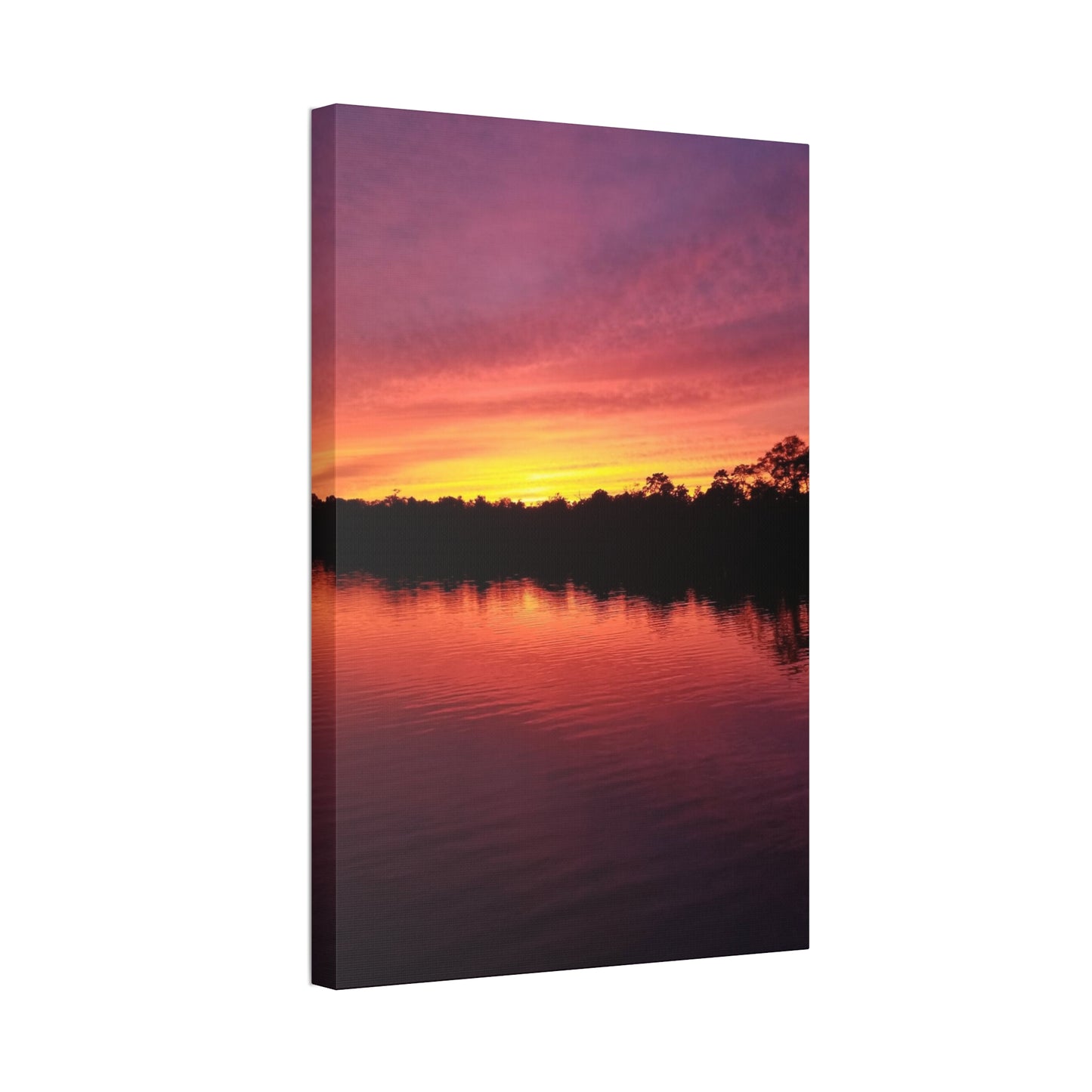 Opacarophile, Canvas Stretched, 1.5''