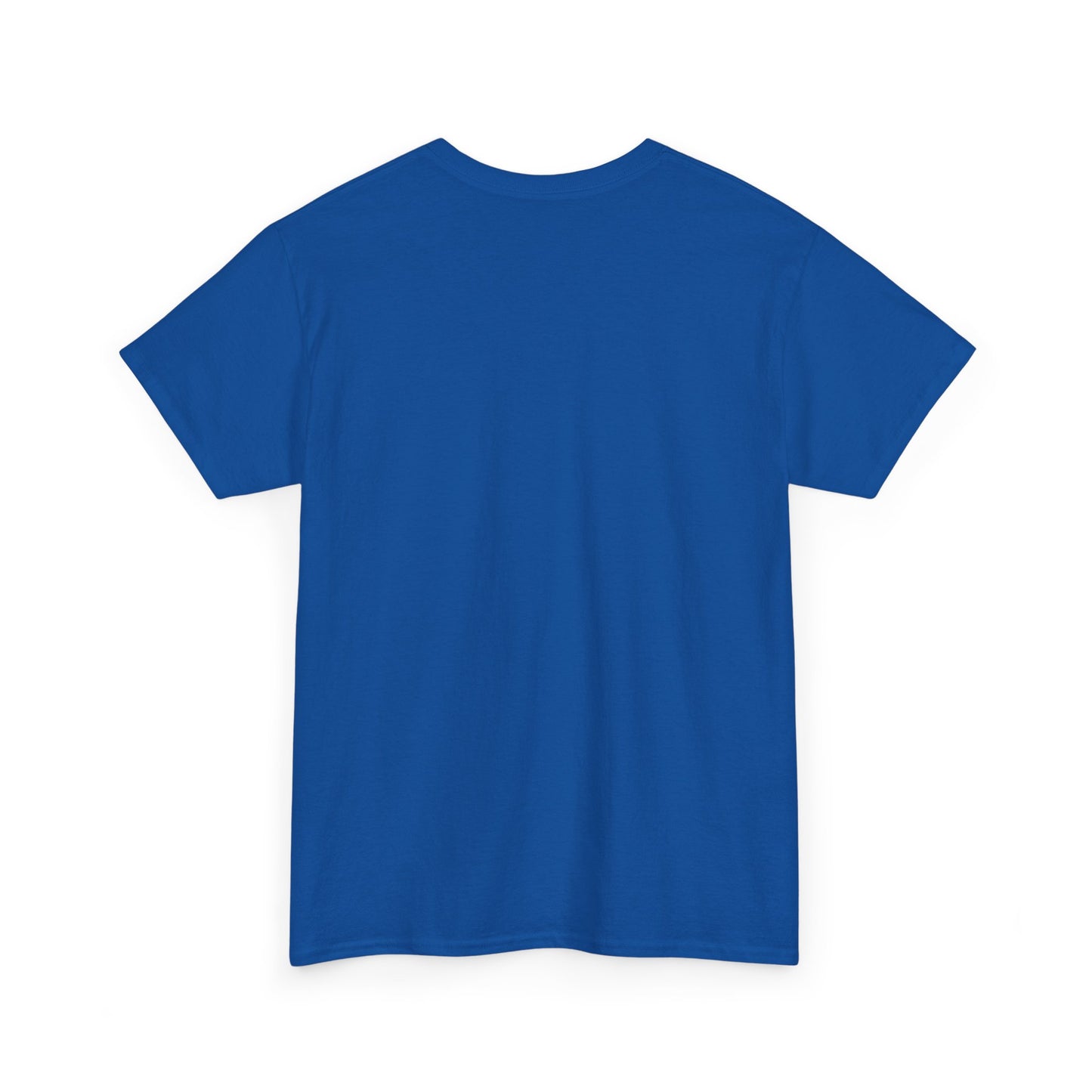 United We Stand T-Shirt, Patriotic Tee, America Pride Shirt, Political Activist Clothing, Unity