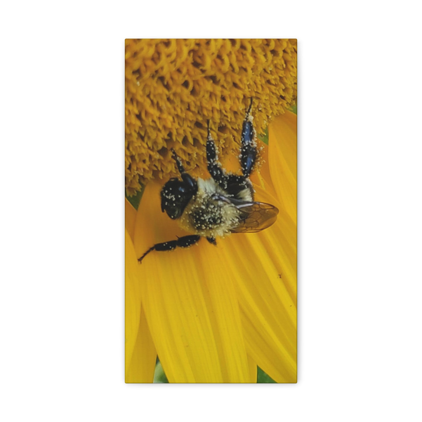 Happy Little Bee, Matte Canvas, Stretched, 1.25"