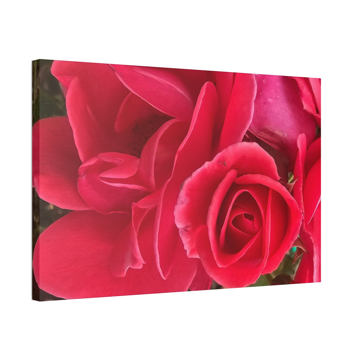 Painting The Roses Red, Canvas Stretched, 1.5''