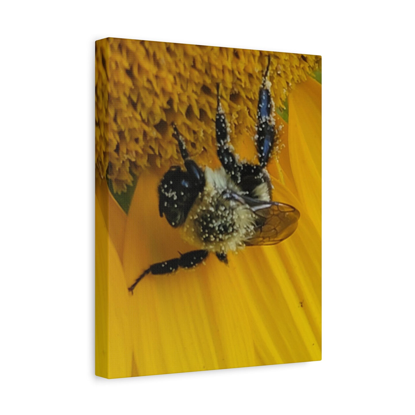 Happy Little Bee, Matte Canvas, Stretched, 1.25"