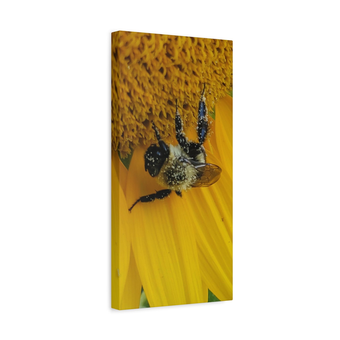 Happy Little Bee, Matte Canvas, Stretched, 1.25"