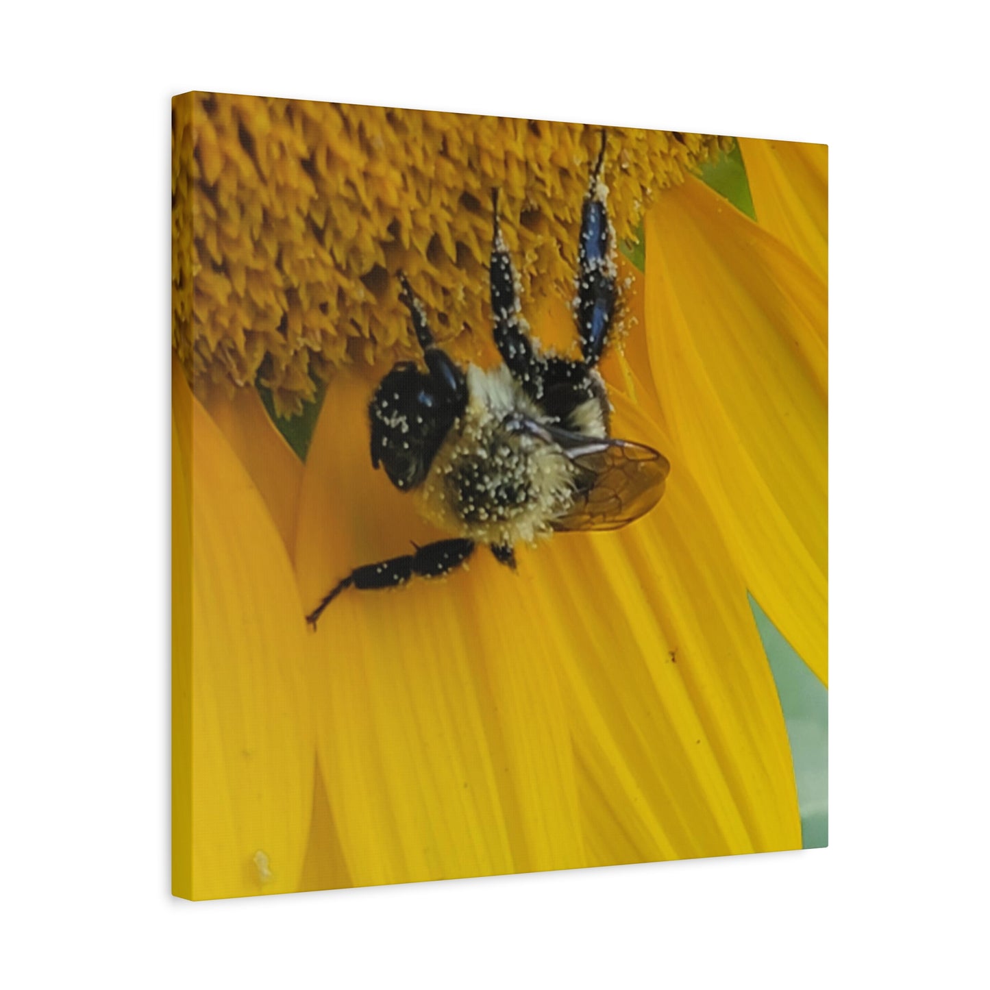 Happy Little Bee, Matte Canvas, Stretched, 1.25"