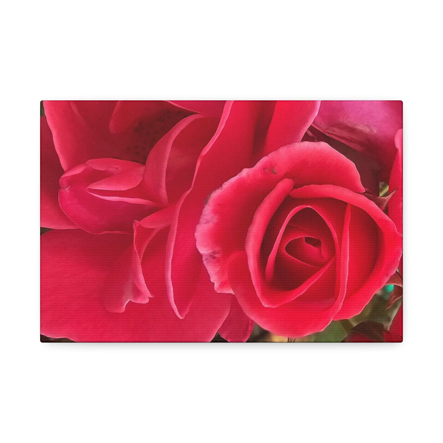 Painting The Roses Red, Canvas Stretched, 1.5''