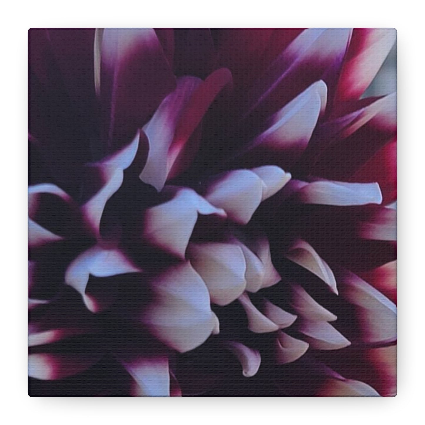 Hopelessly Devoted To Dahlias, Matte Canvas, Stretched, 1.25"