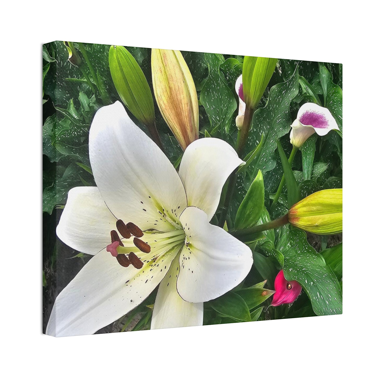 Lily Explosion, Canvas Stretched, 1.5''
