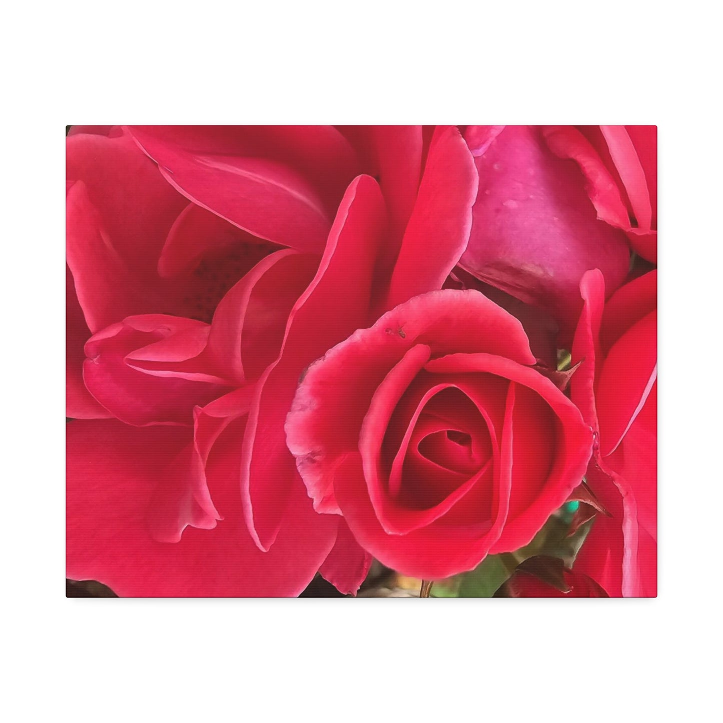 Painting The Roses Red, Canvas Stretched, 1.5''