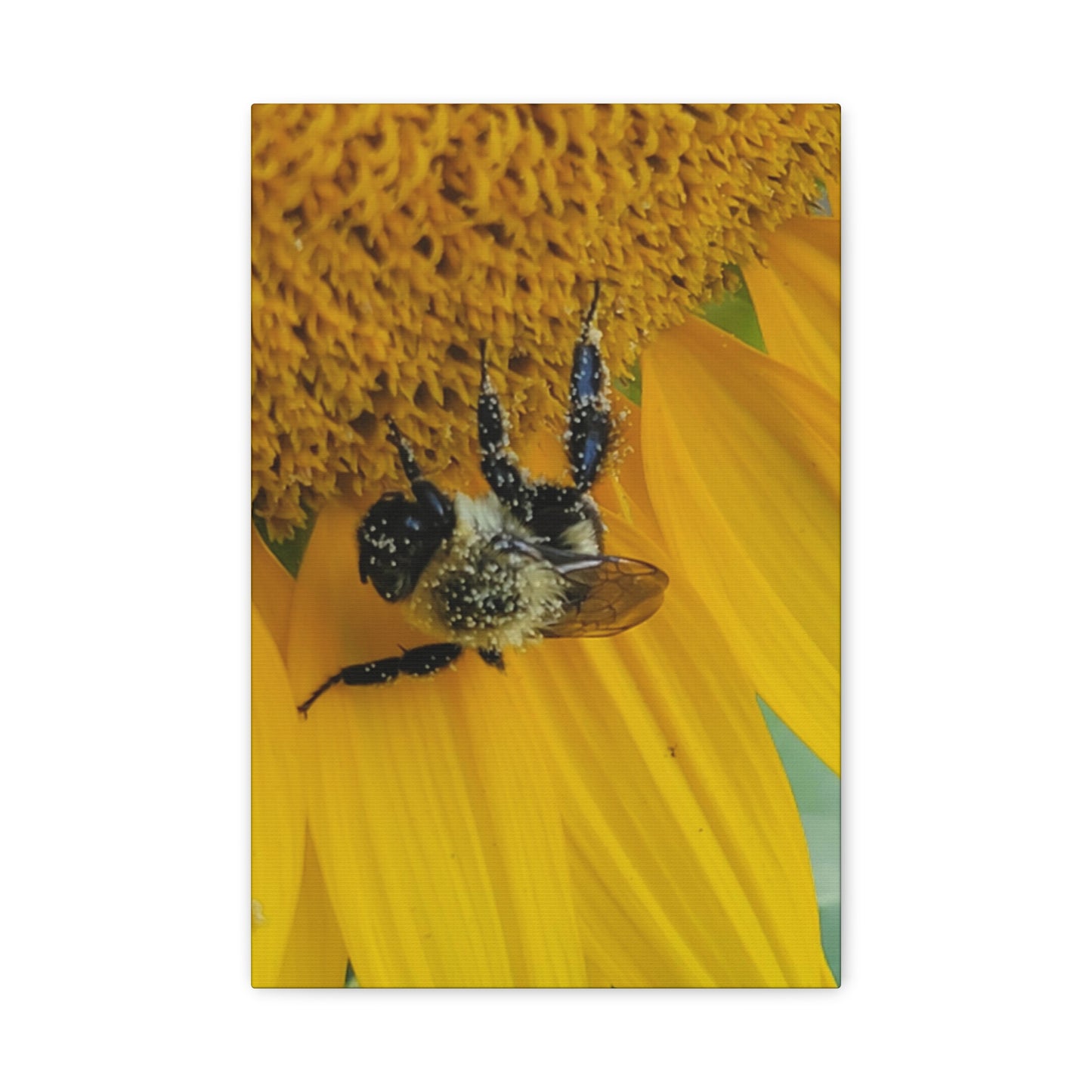 Happy Little Bee, Matte Canvas, Stretched, 1.25"