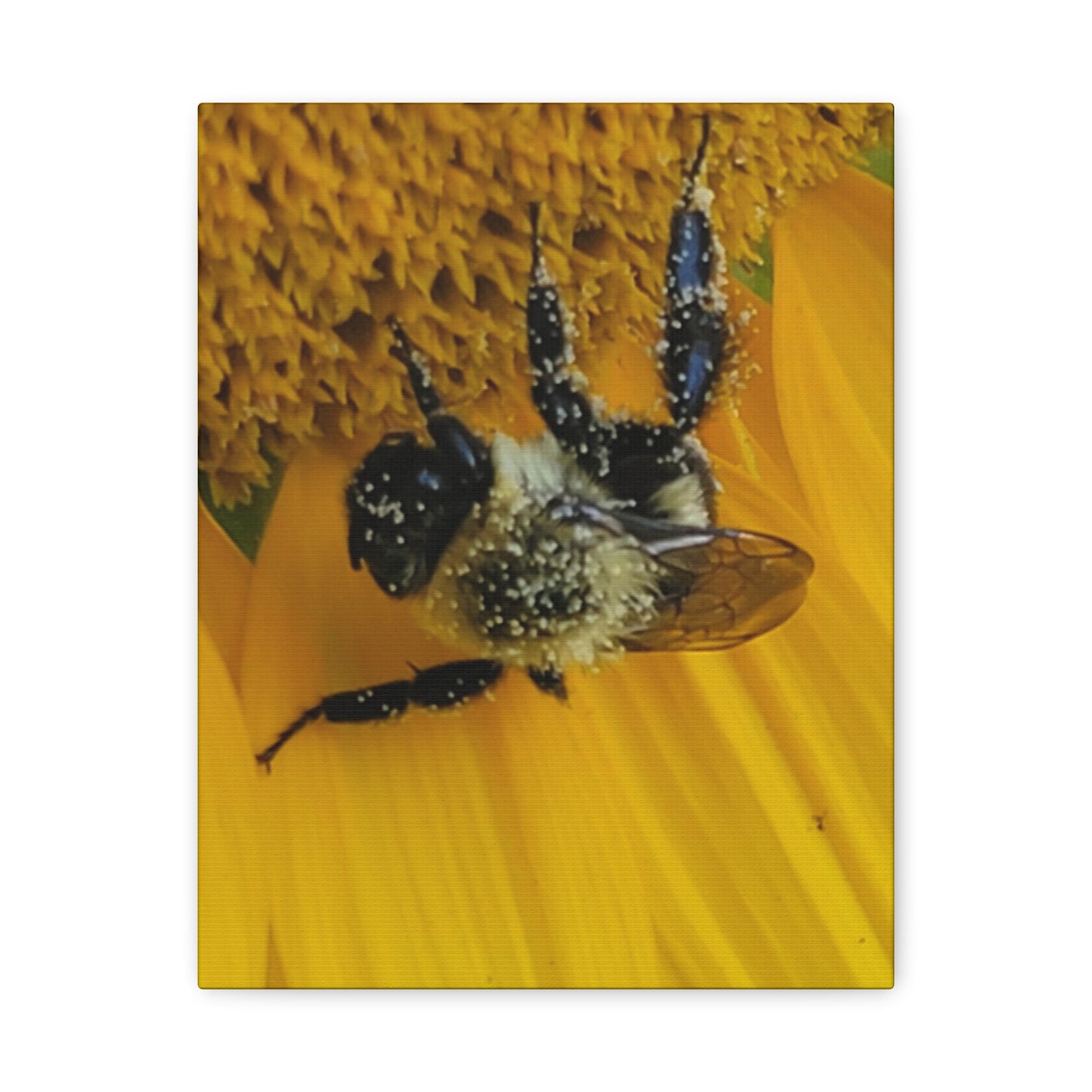 Happy Little Bee, Matte Canvas, Stretched, 1.25"