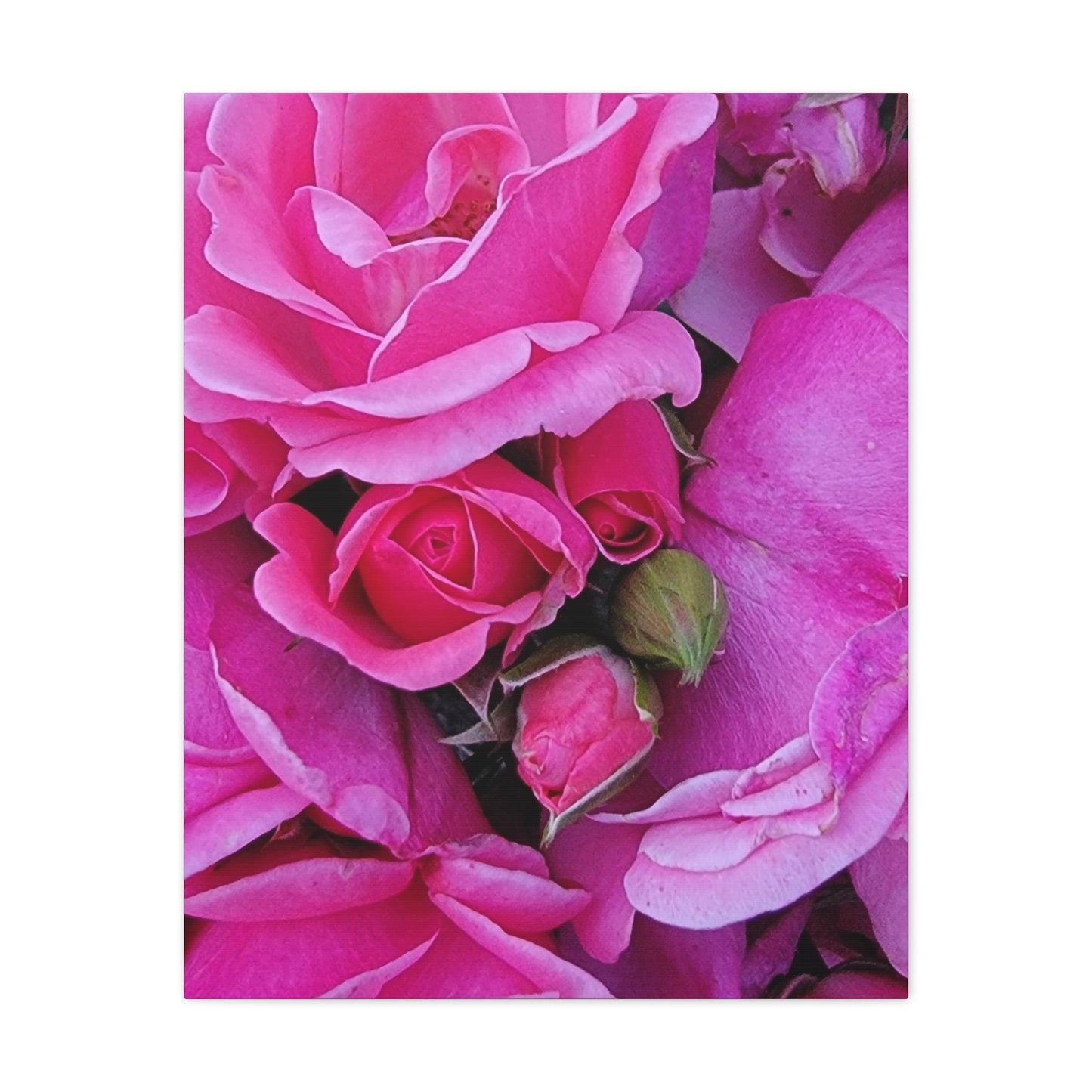 A Rose By Any Other Name, Matte Canvas, Stretched, 1.25"
