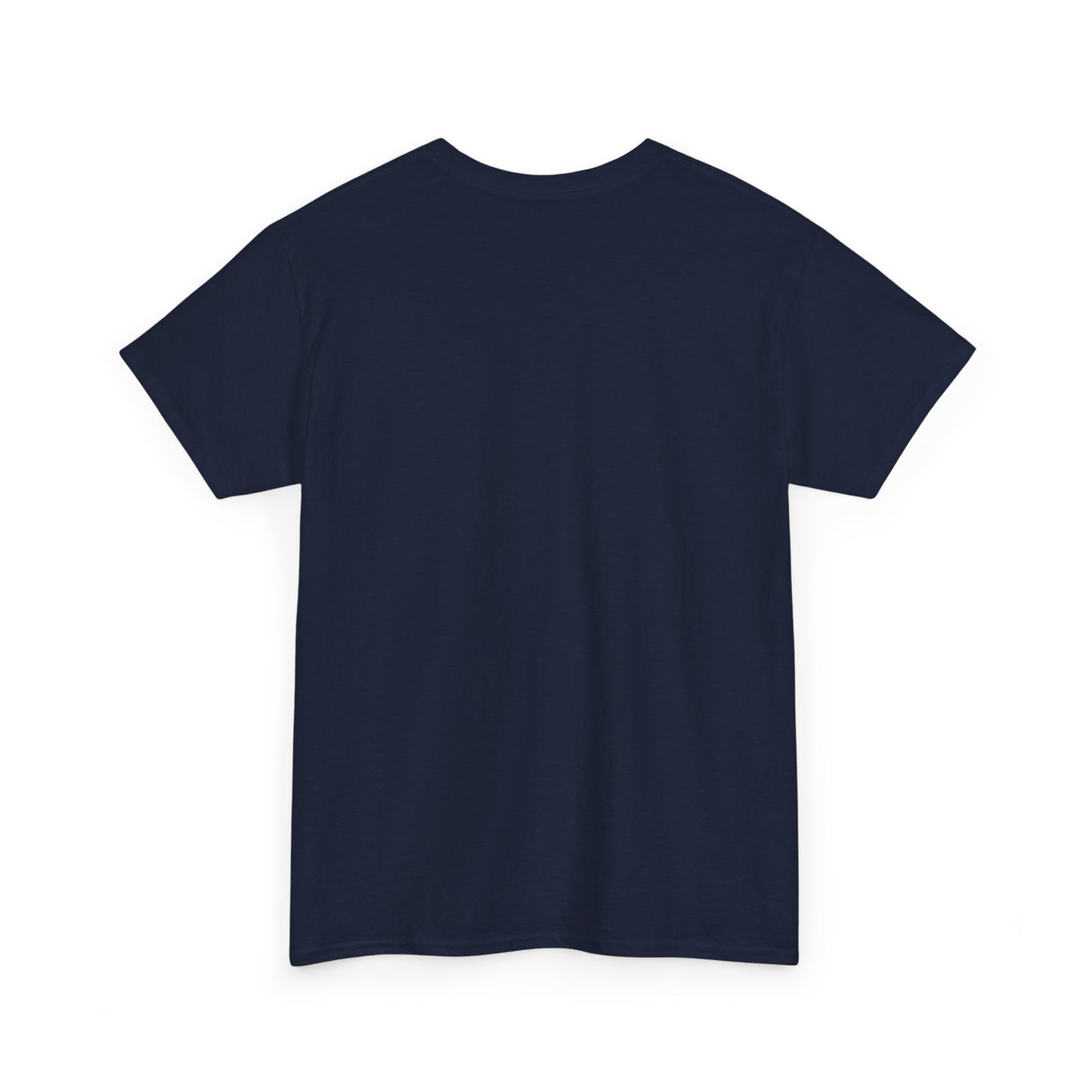 United We Stand T-Shirt, Patriotic Tee, America Pride Shirt, Political Activist Clothing, Unity