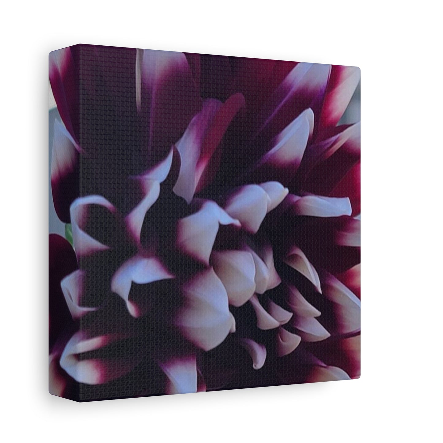 Hopelessly Devoted To Dahlias, Matte Canvas, Stretched, 1.25"