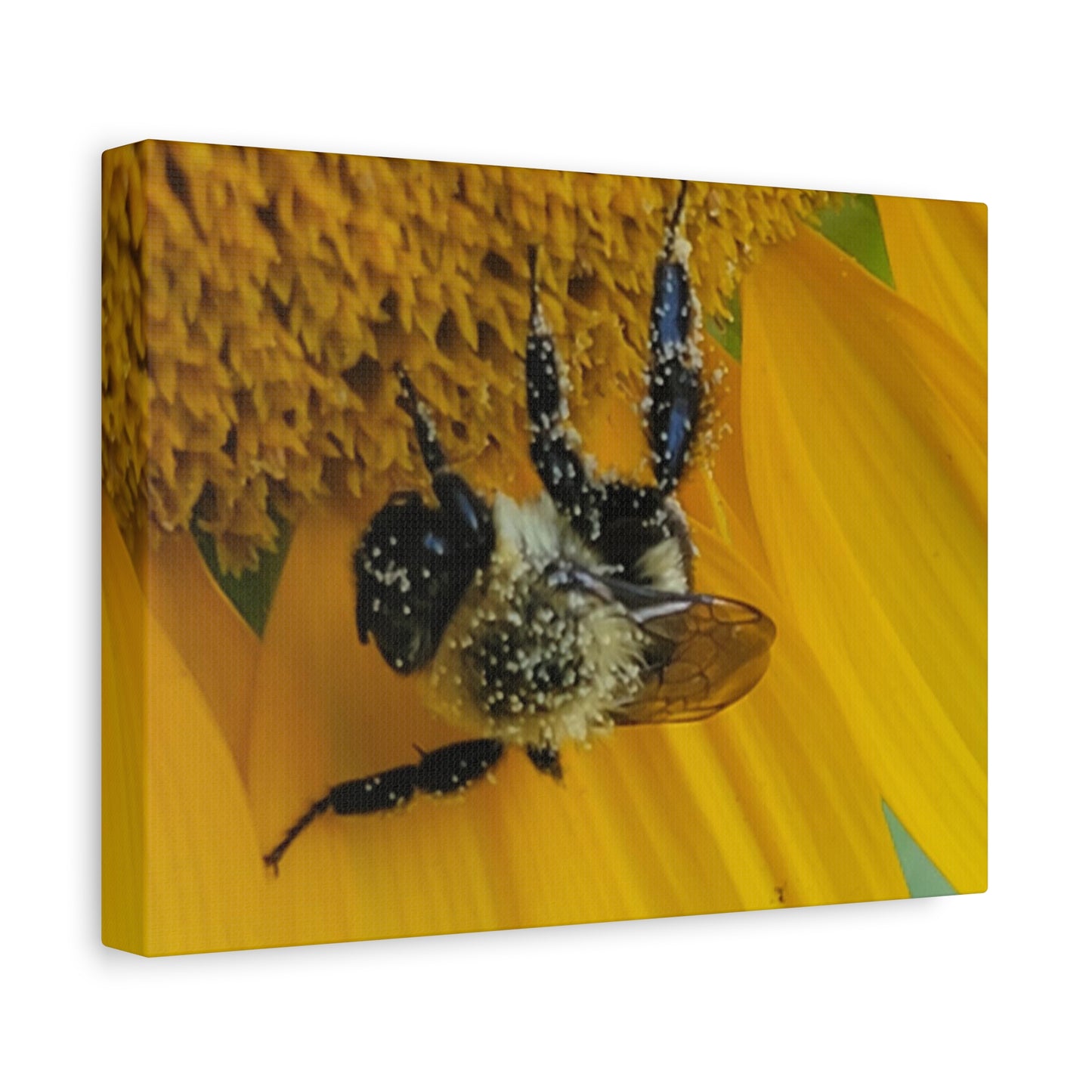 Happy Little Bee, Matte Canvas, Stretched, 1.25"