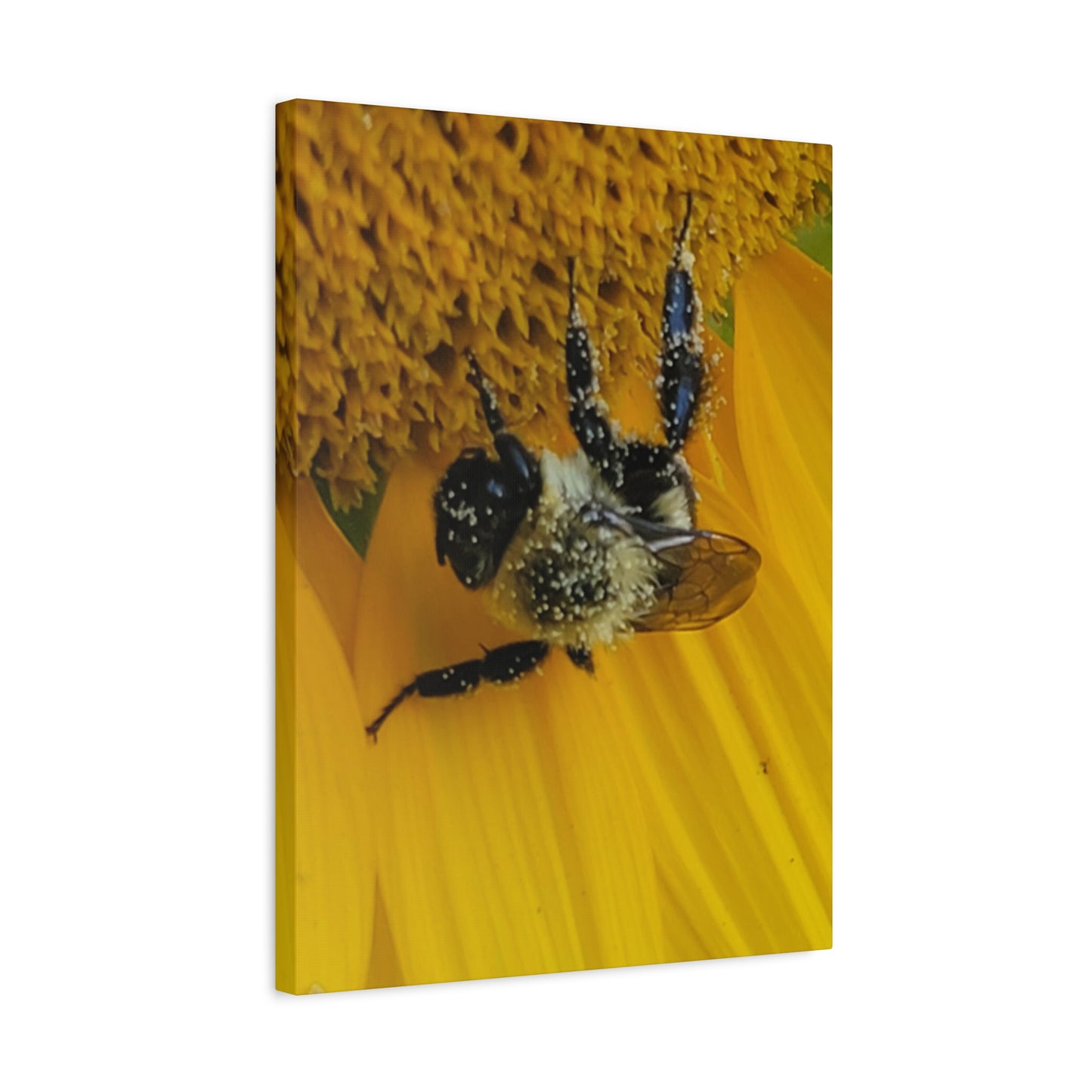 Happy Little Bee, Matte Canvas, Stretched, 1.25"