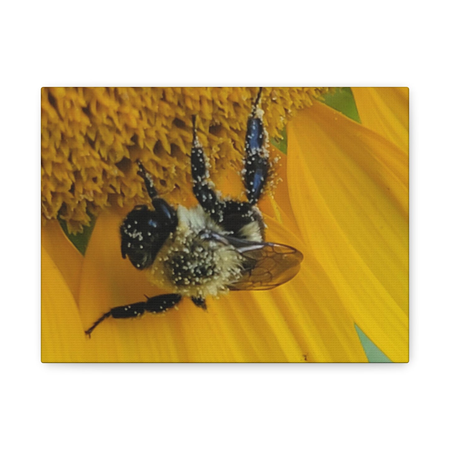 Happy Little Bee, Matte Canvas, Stretched, 1.25"