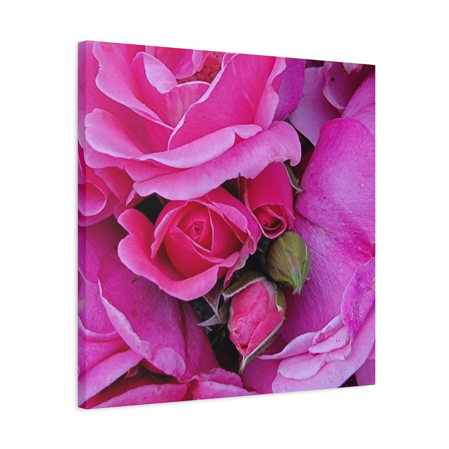 A Rose By Any Other Name, Matte Canvas, Stretched, 1.25"