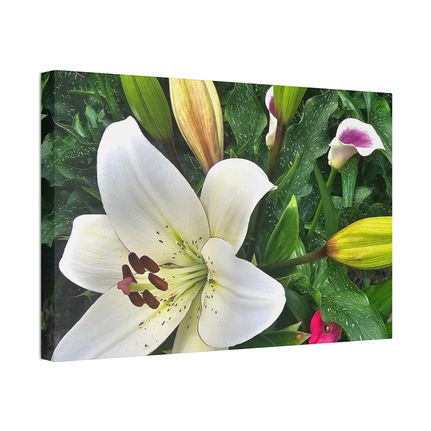 Lily Explosion, Canvas Stretched, 1.5''