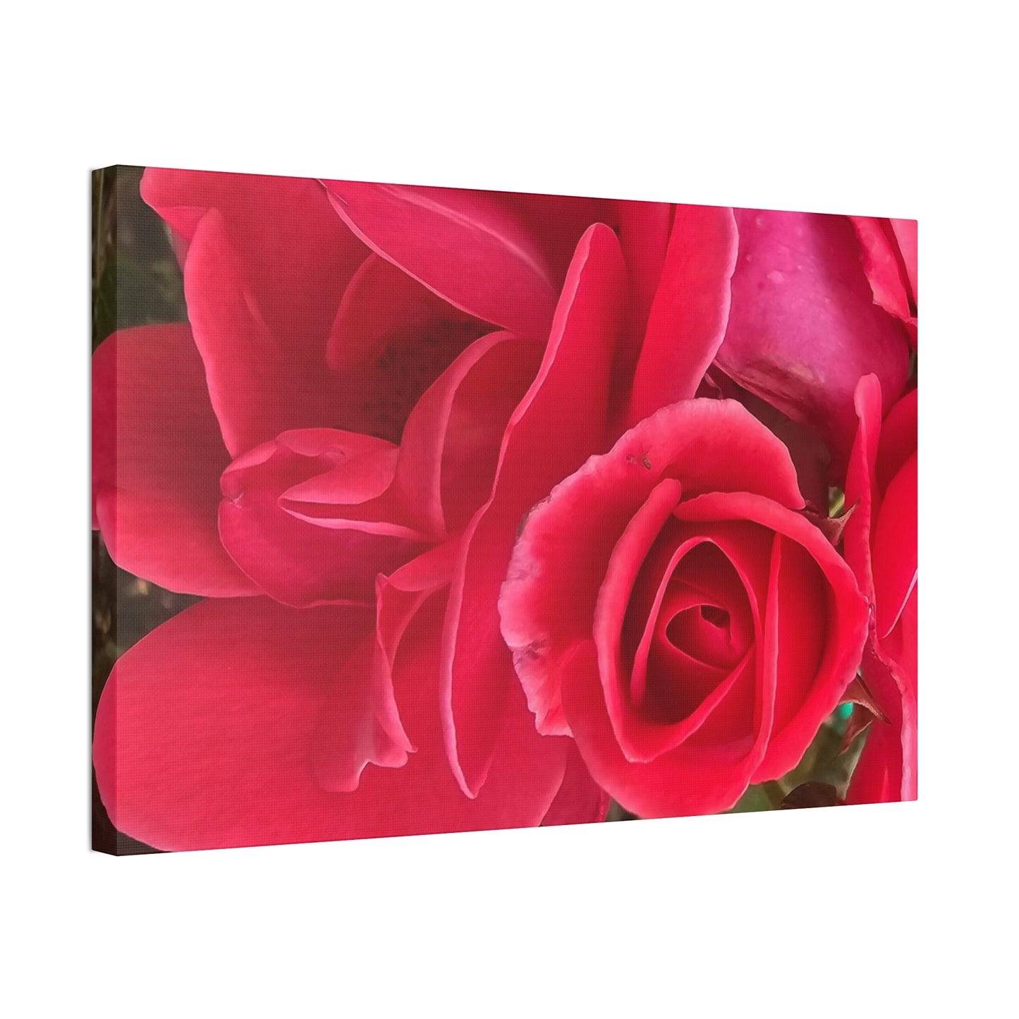 Painting The Roses Red, Canvas Stretched, 1.5''