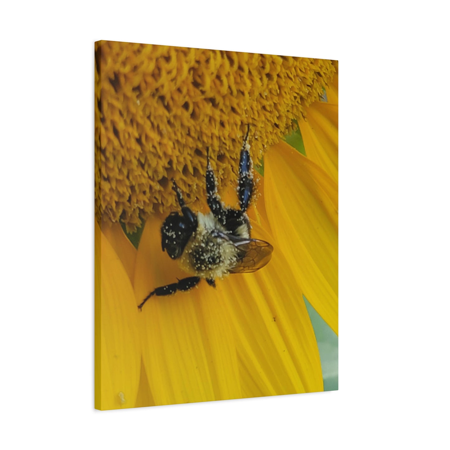 Happy Little Bee, Matte Canvas, Stretched, 1.25"