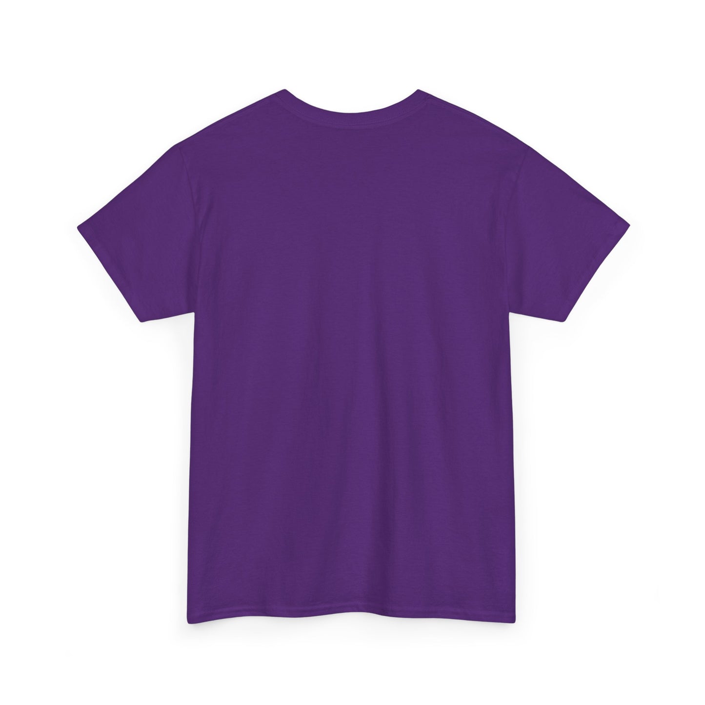 United We Stand T-Shirt, Patriotic Tee, America Pride Shirt, Political Activist Clothing, Unity