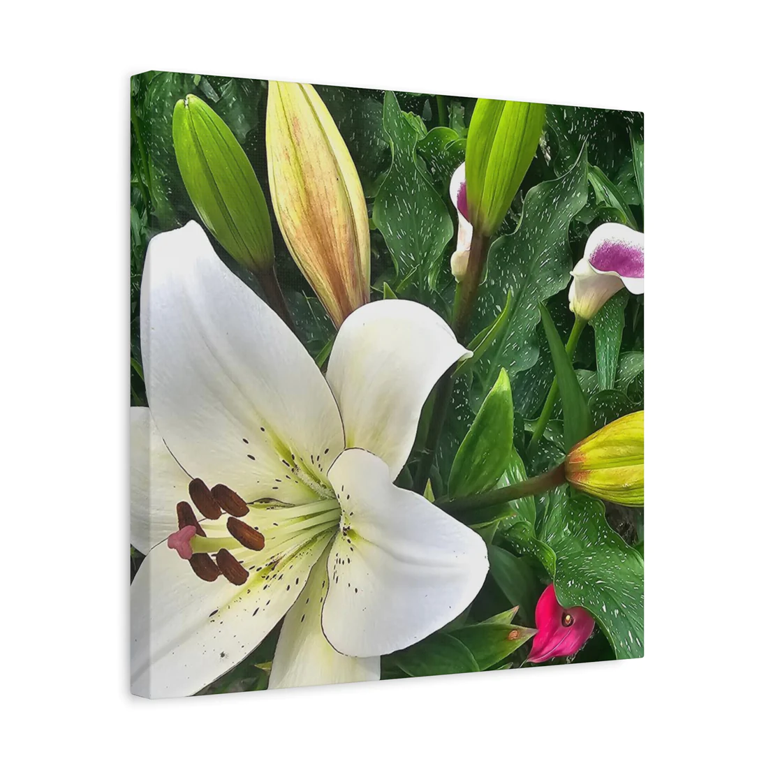 Original Photography Canvas Prints