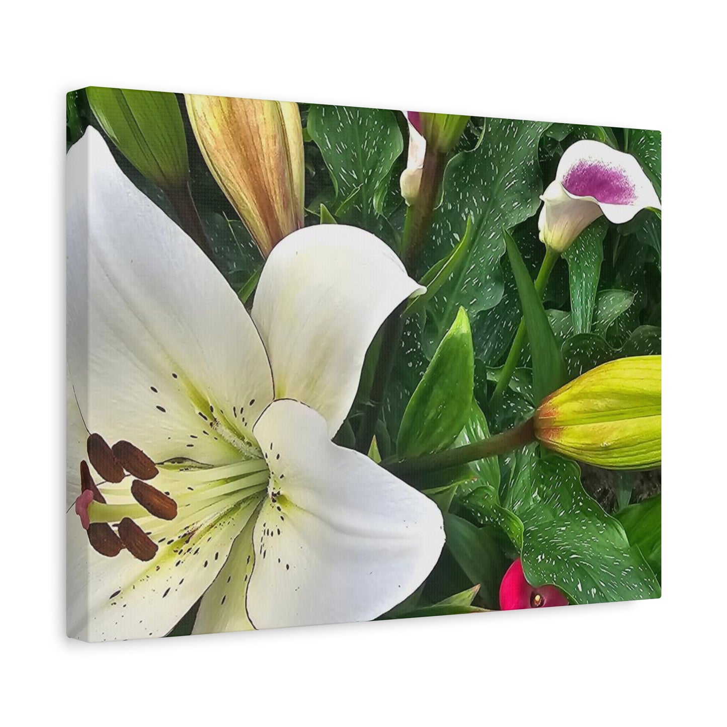 Lily Explosion, Matte Canvas, Stretched, 1.25"