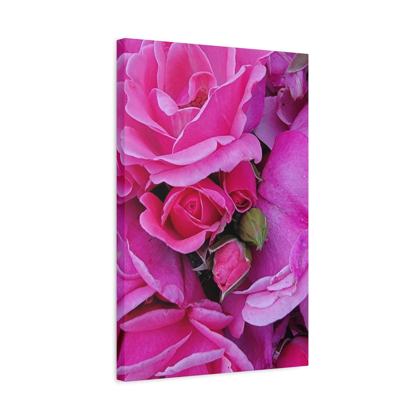 A Rose By Any Other Name, Matte Canvas, Stretched, 1.25"