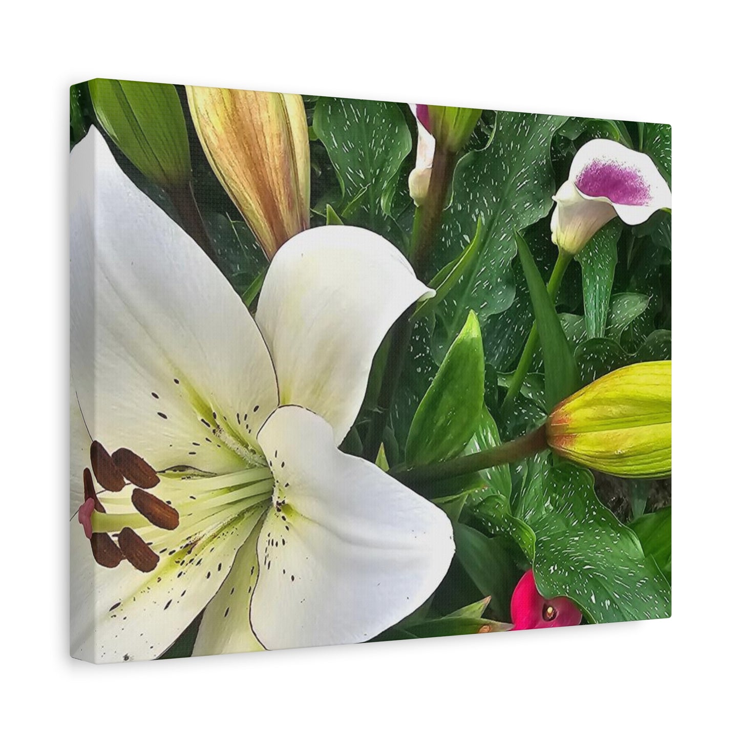Lily Explosion, Matte Canvas, Stretched, 1.25"