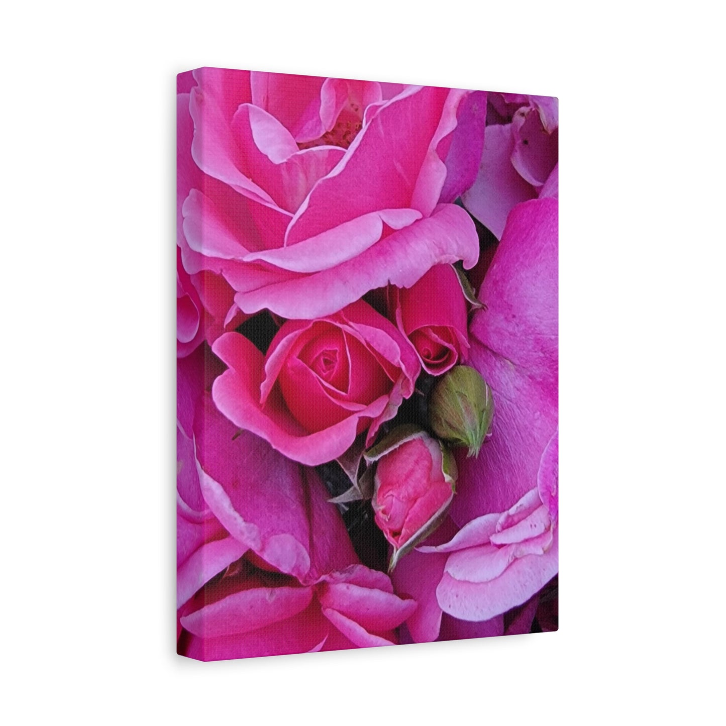 A Rose By Any Other Name, Matte Canvas, Stretched, 1.25"