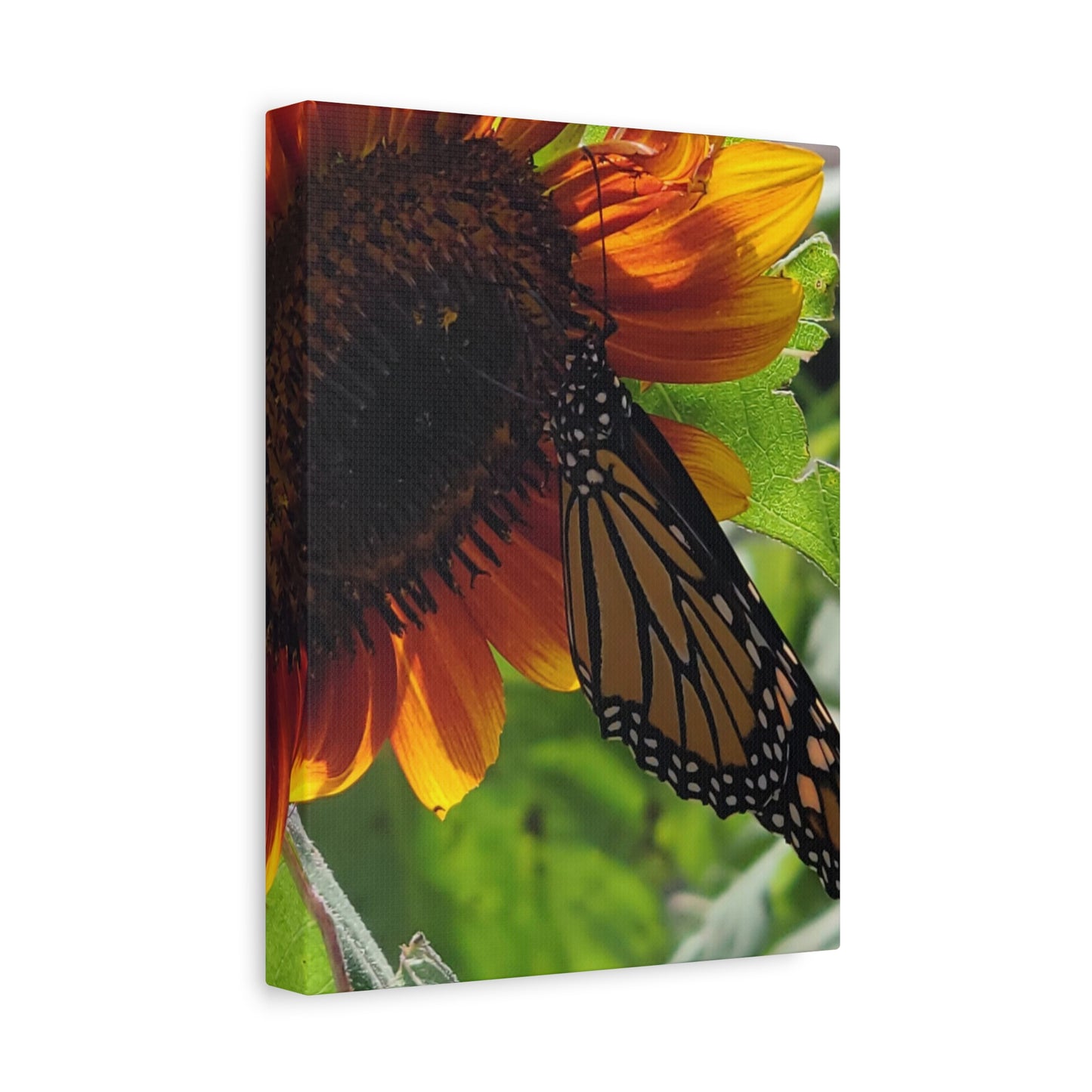 Sunshine Daydream, Matte Canvas, Stretched, 1.25"