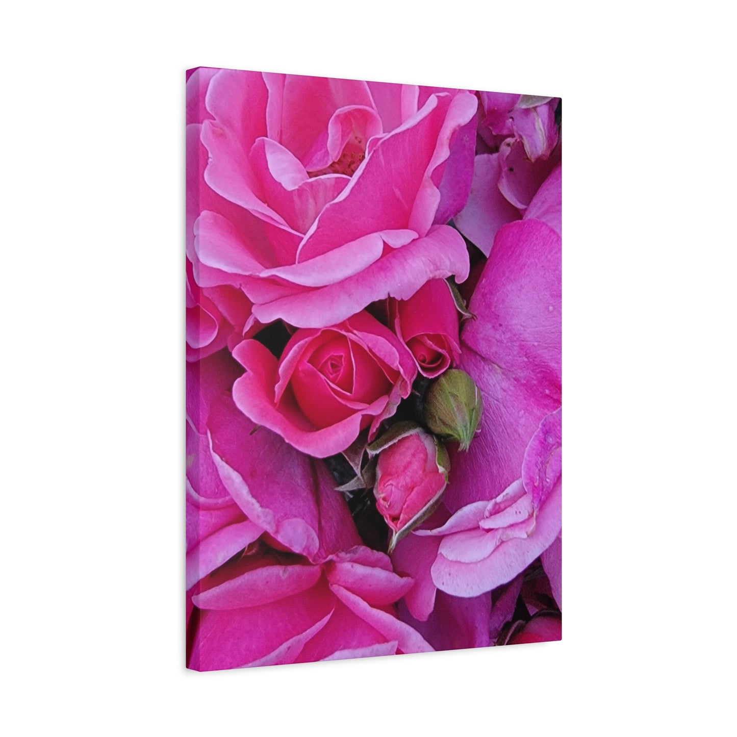 A Rose By Any Other Name, Matte Canvas, Stretched, 1.25"