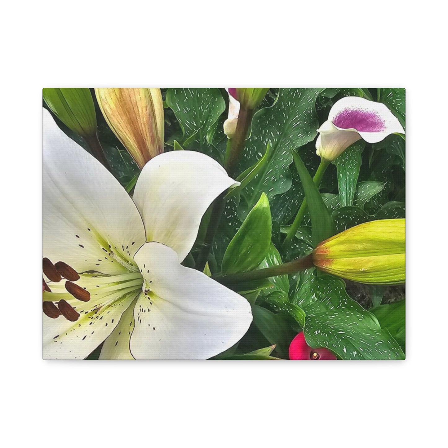 Lily Explosion, Matte Canvas, Stretched, 1.25"