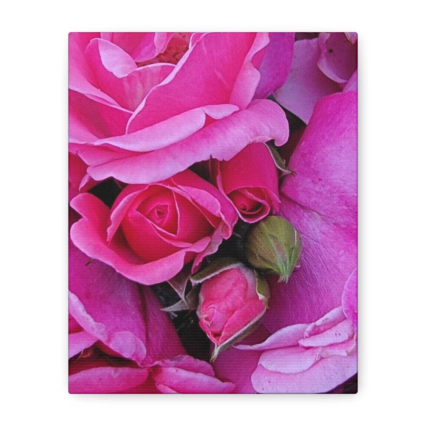 A Rose By Any Other Name, Matte Canvas, Stretched, 1.25"