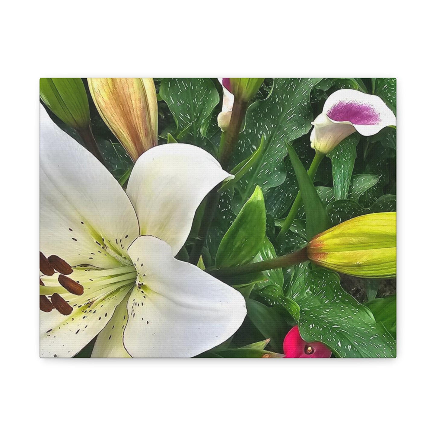 Lily Explosion, Matte Canvas, Stretched, 1.25"