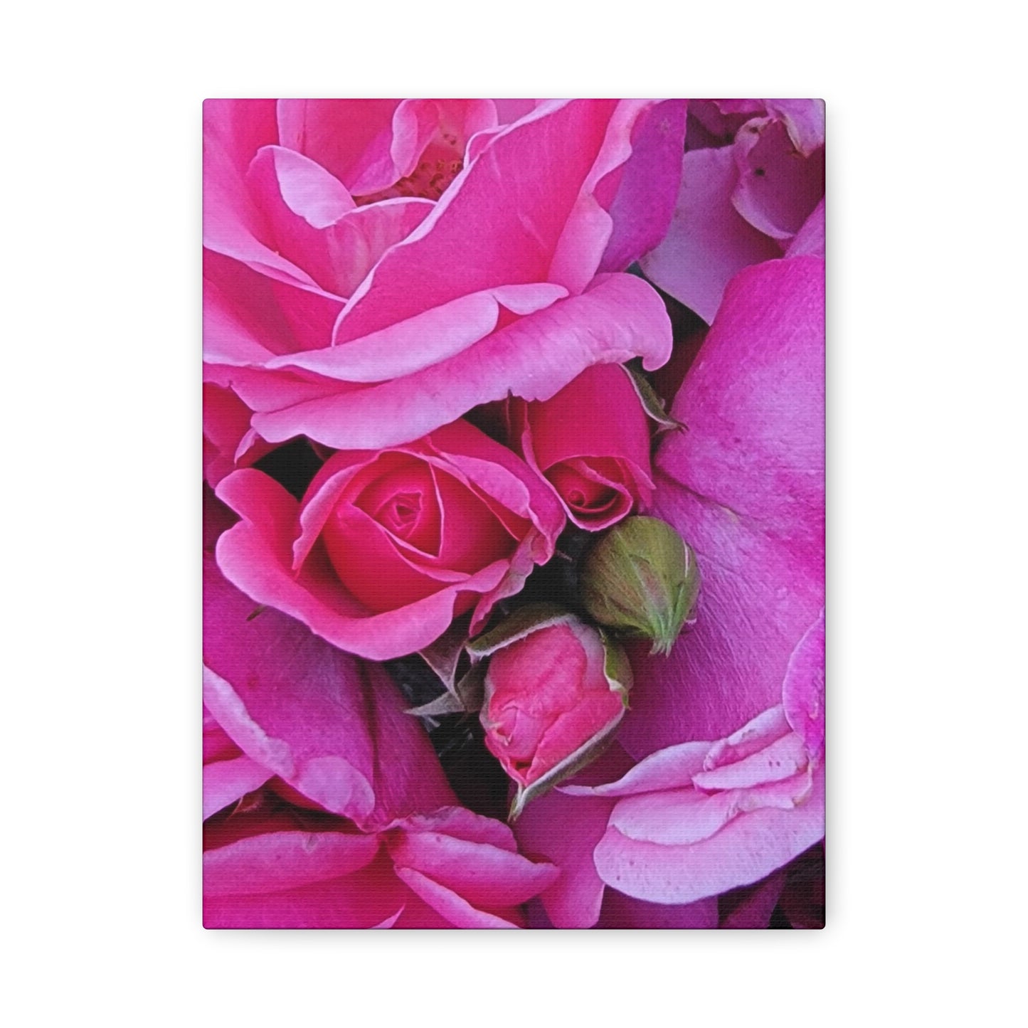 A Rose By Any Other Name, Matte Canvas, Stretched, 1.25"