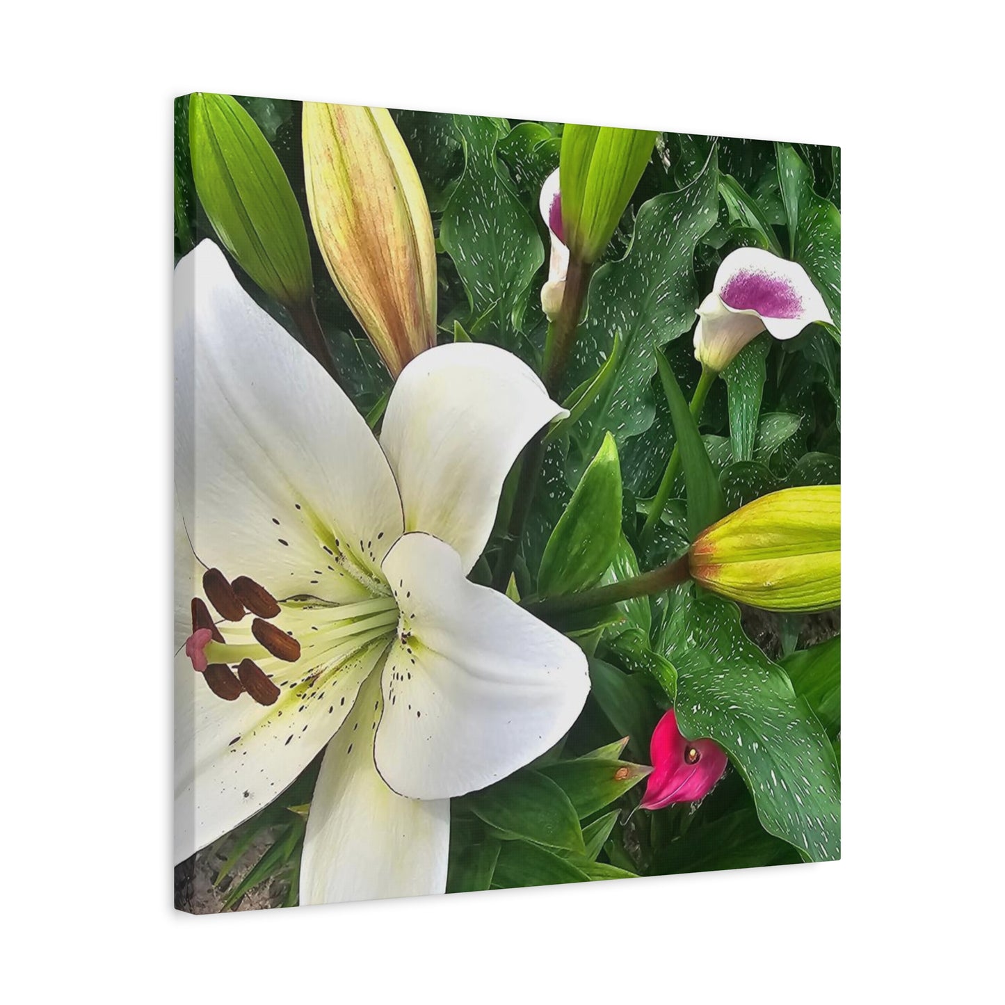 Lily Explosion, Matte Canvas, Stretched, 1.25"