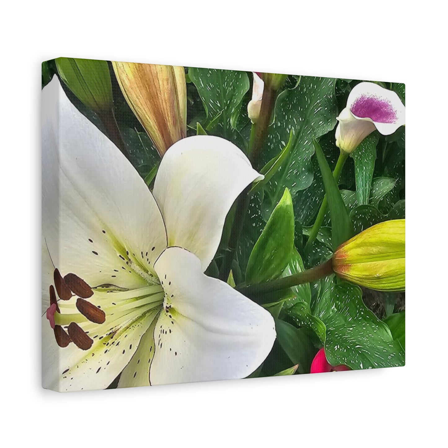 Lily Explosion, Matte Canvas, Stretched, 1.25"