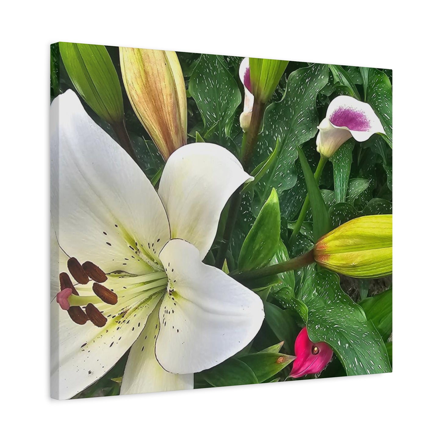 Lily Explosion, Matte Canvas, Stretched, 1.25"