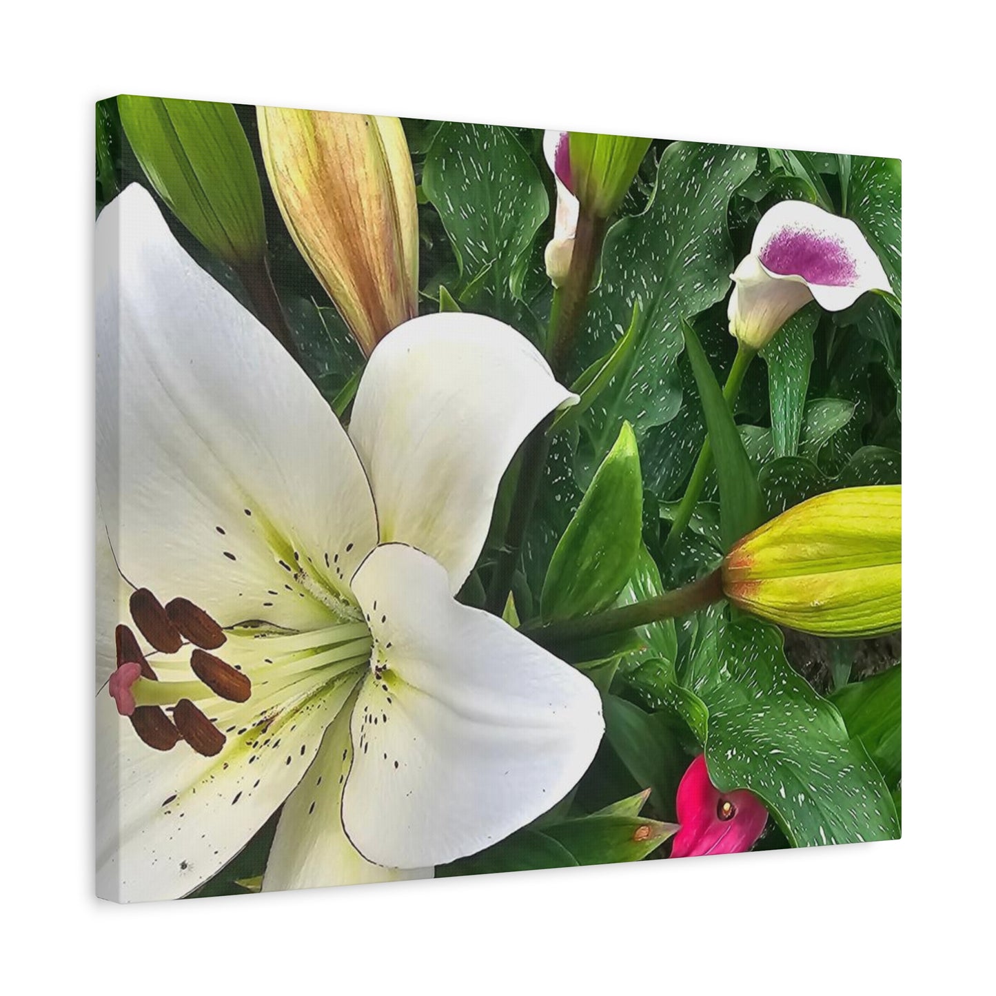 Lily Explosion, Matte Canvas, Stretched, 1.25"