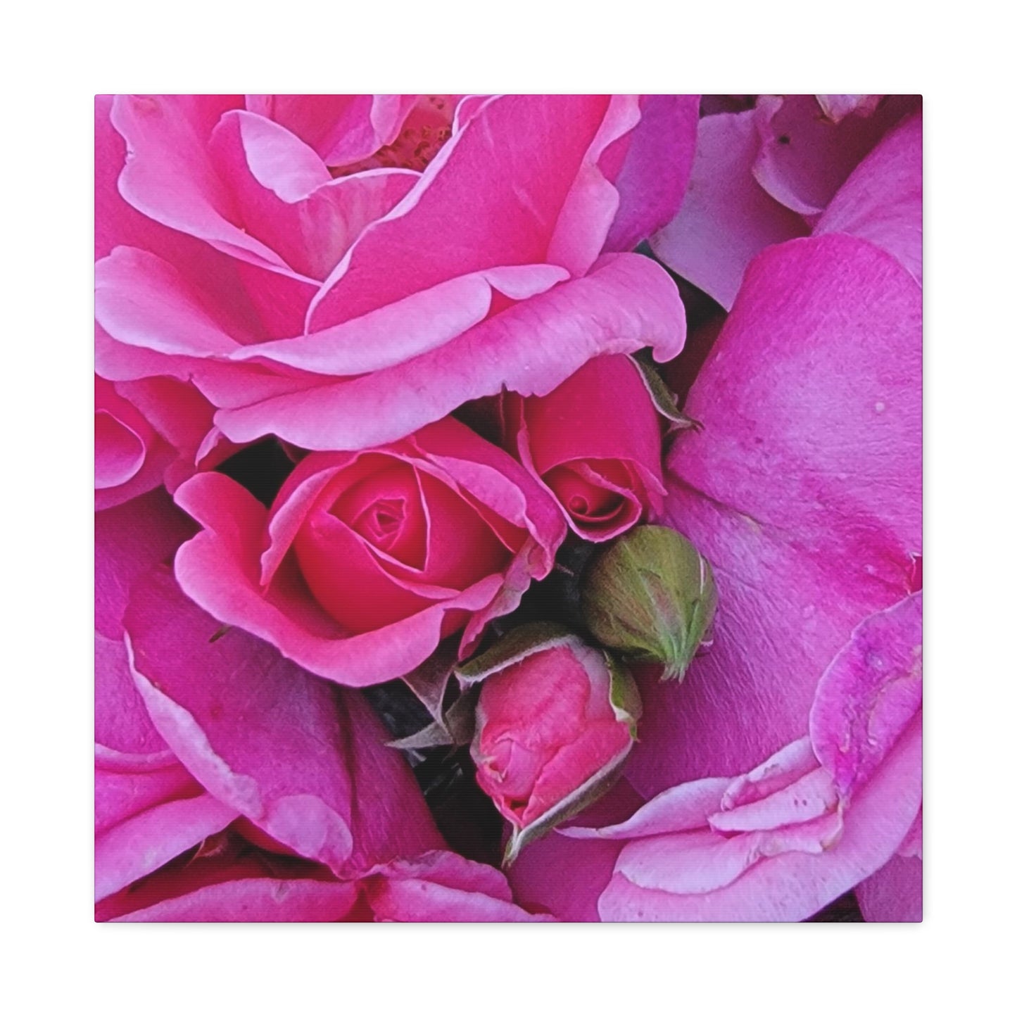 A Rose By Any Other Name, Matte Canvas, Stretched, 1.25"
