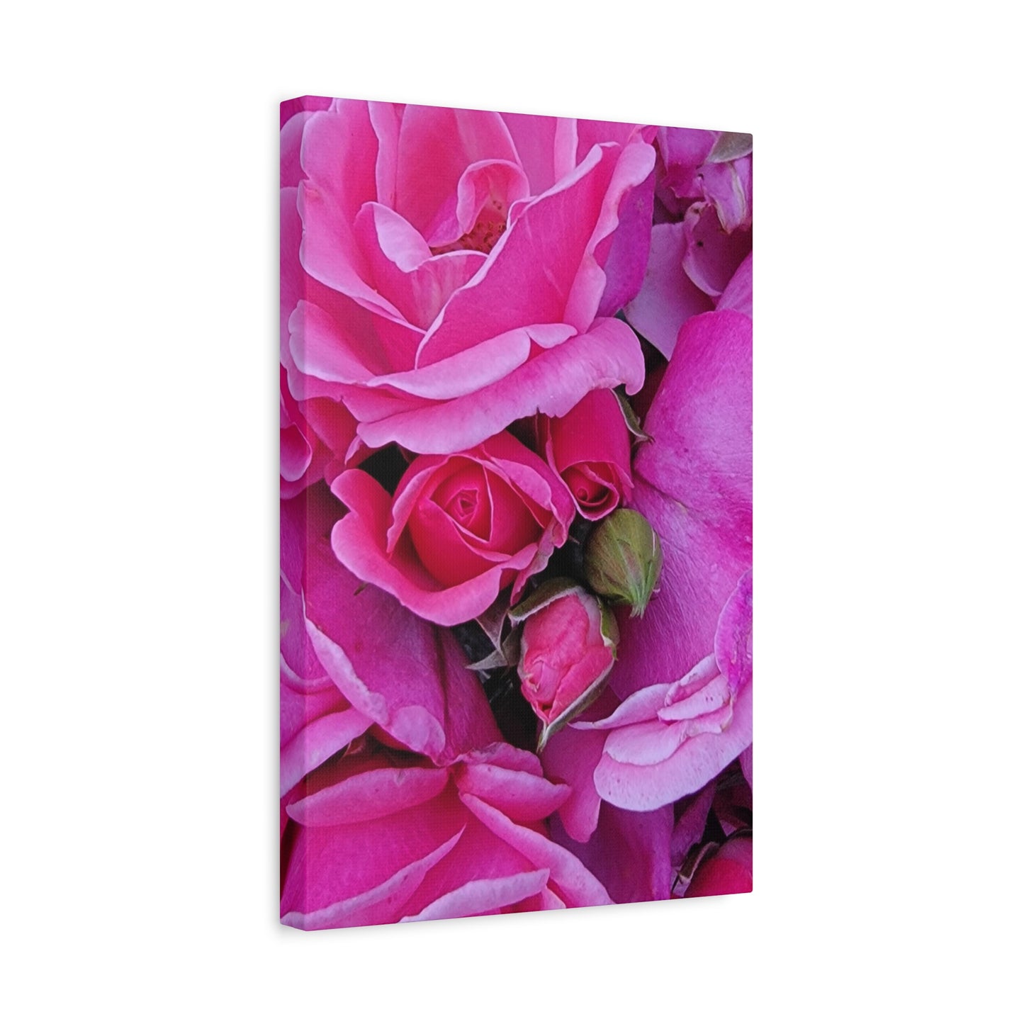 A Rose By Any Other Name, Matte Canvas, Stretched, 1.25"