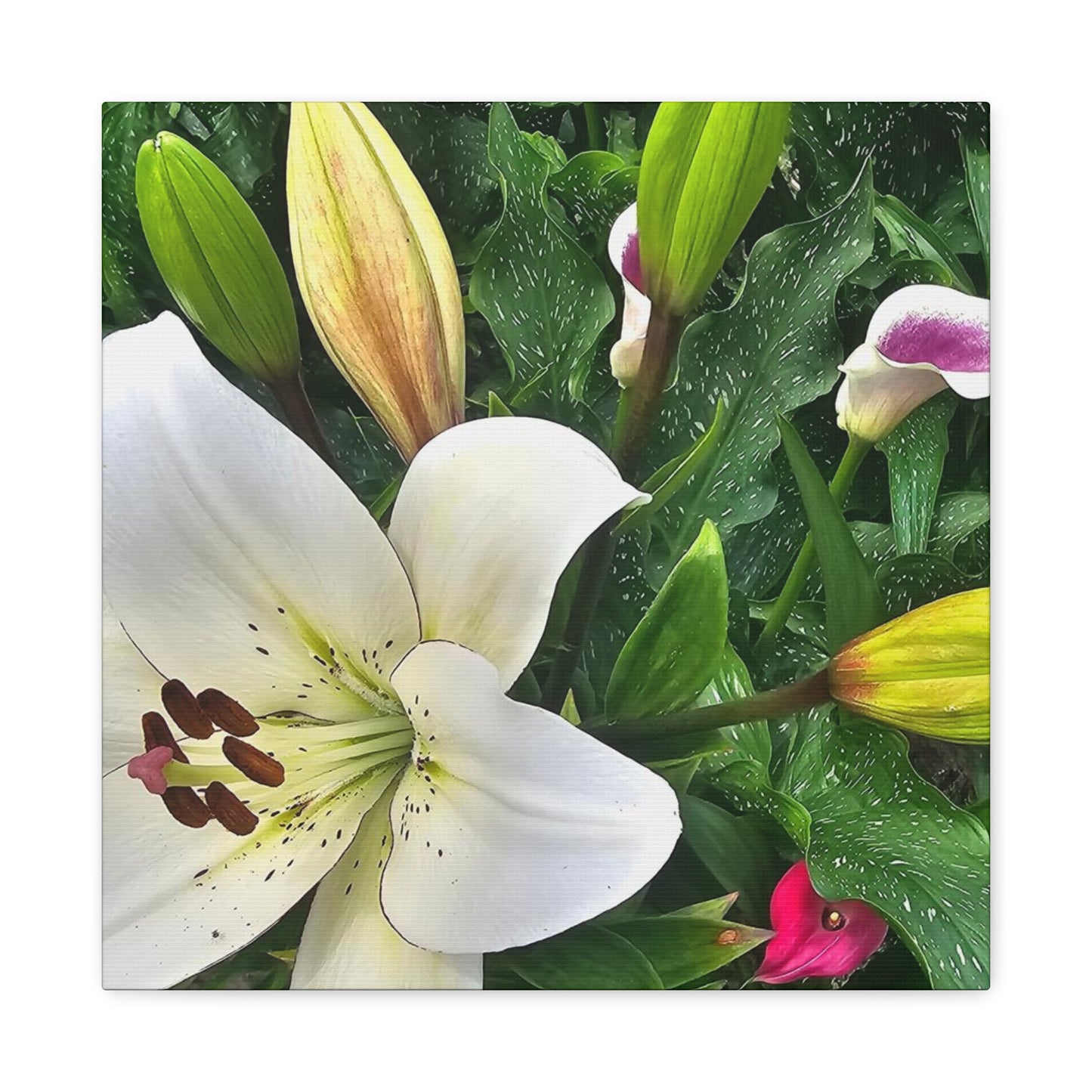 Lily Explosion, Matte Canvas, Stretched, 1.25"