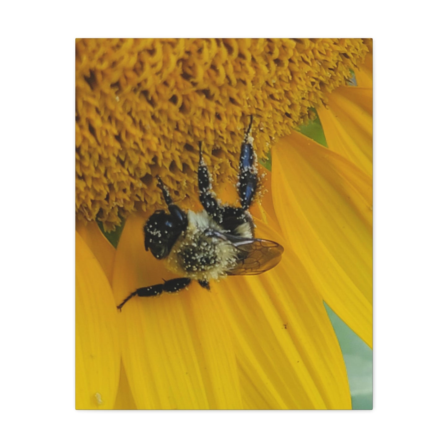 Happy Little Bee,  Matte Canvas, Stretched, 1.25"