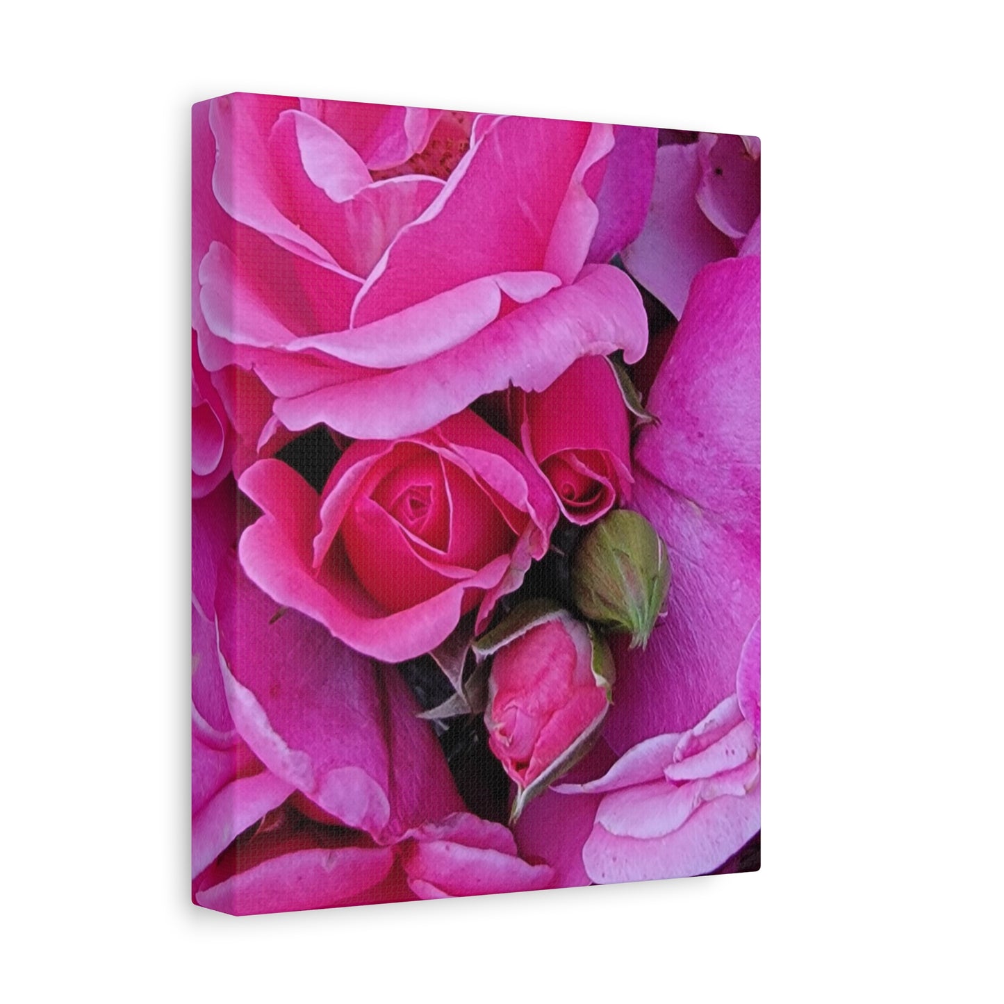 A Rose By Any Other Name, Matte Canvas, Stretched, 1.25"